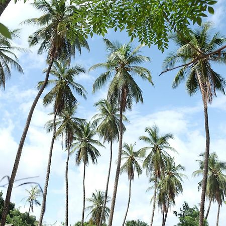 Diakene Ouolof Centre Touristique Et Culturel Casamance旅馆 外观 照片