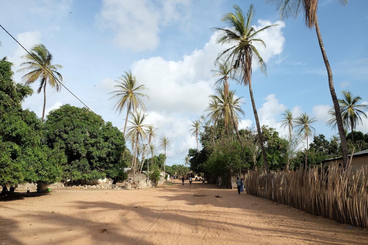 Diakene Ouolof Centre Touristique Et Culturel Casamance旅馆 外观 照片