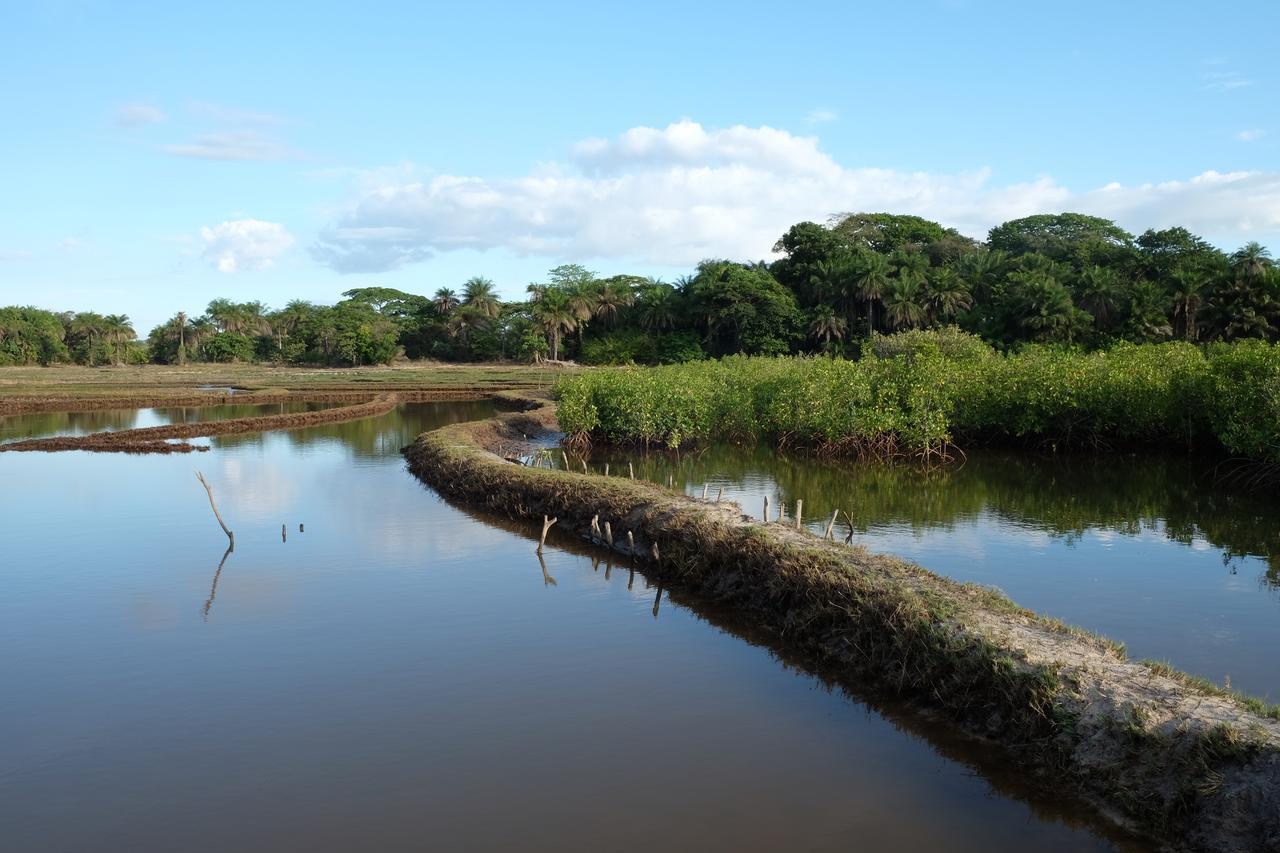 Diakene Ouolof Centre Touristique Et Culturel Casamance旅馆 外观 照片