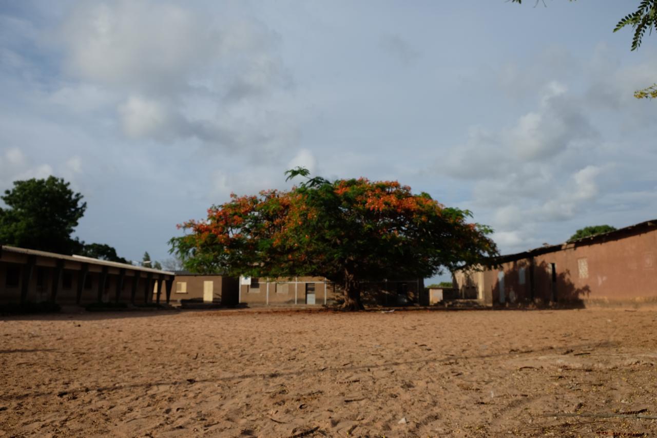 Diakene Ouolof Centre Touristique Et Culturel Casamance旅馆 外观 照片