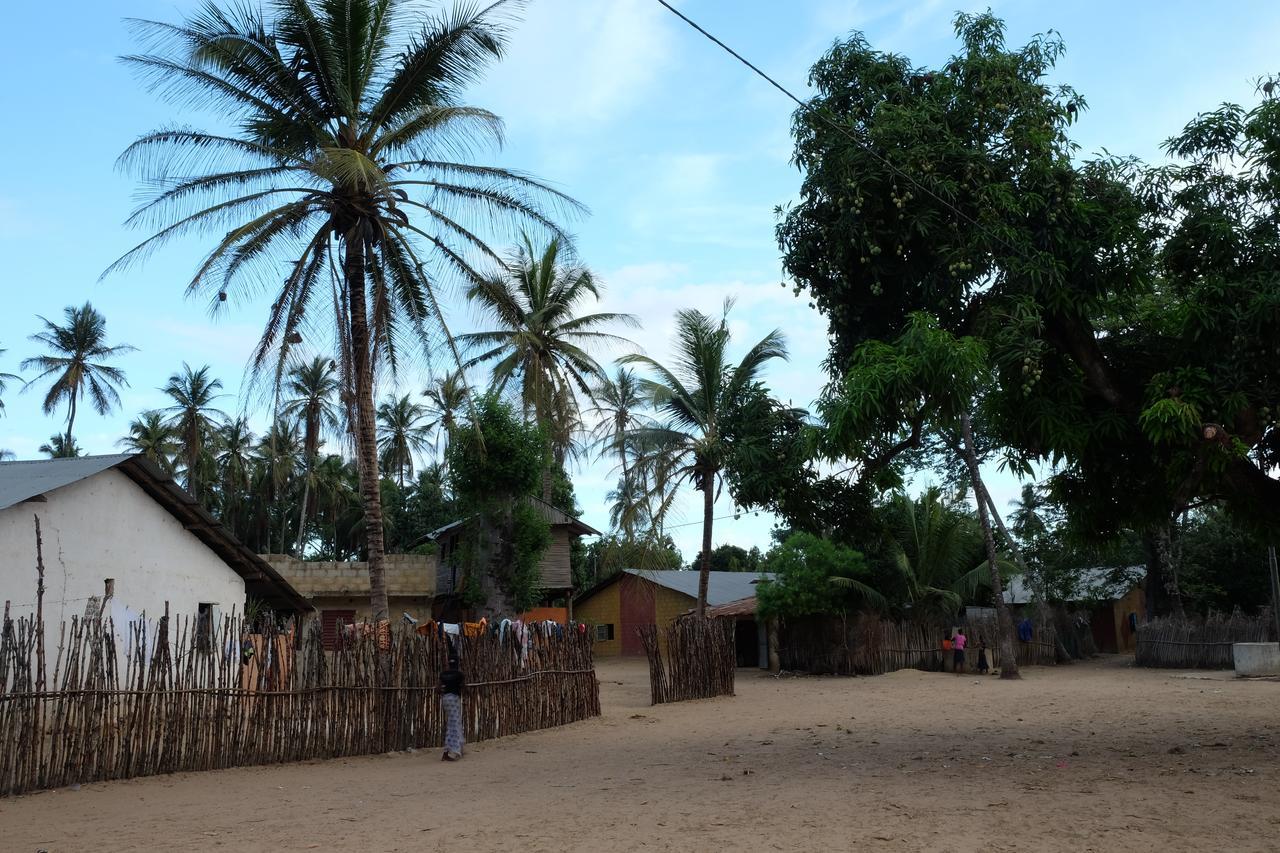 Diakene Ouolof Centre Touristique Et Culturel Casamance旅馆 外观 照片