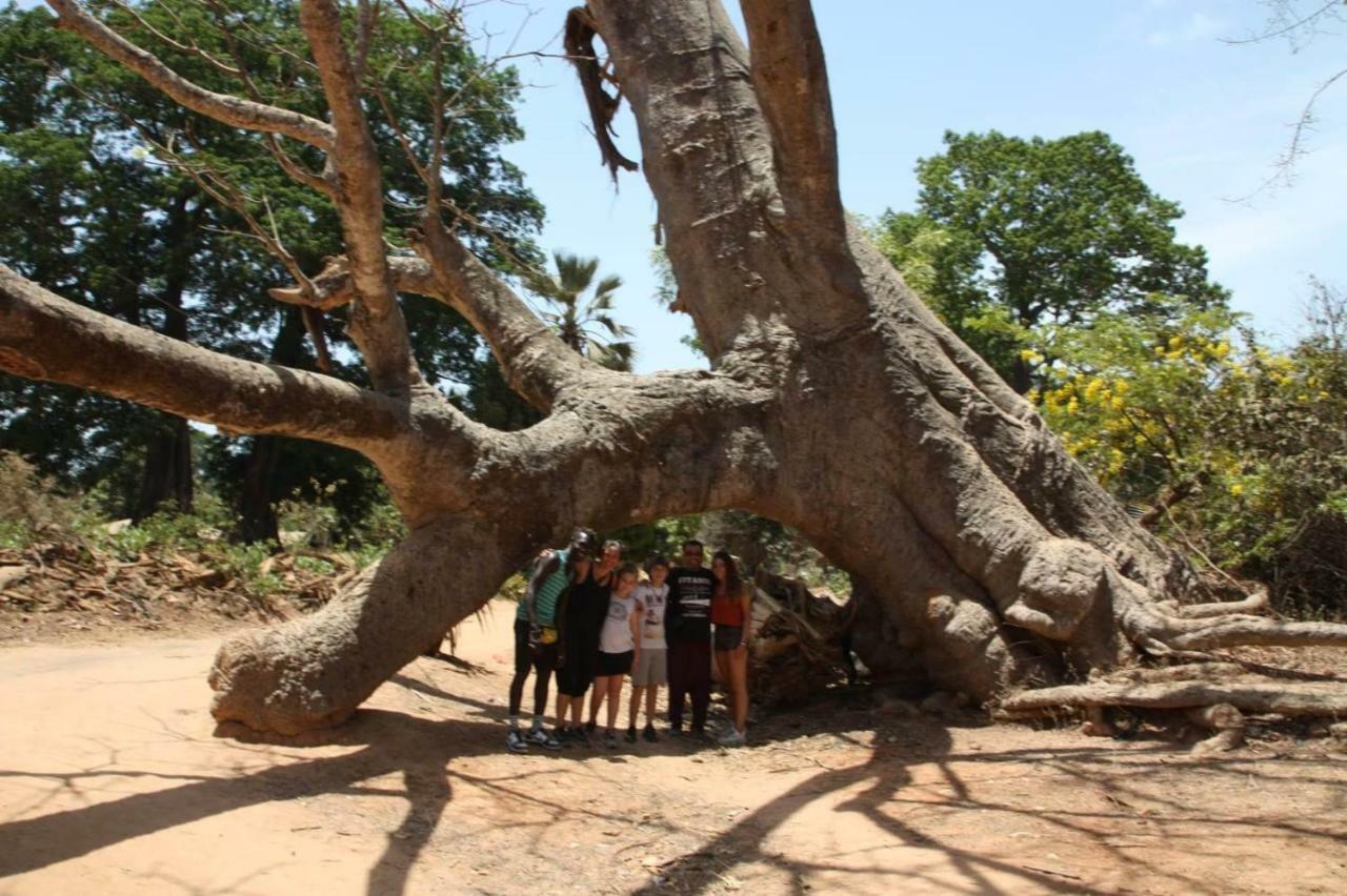 Diakene Ouolof Centre Touristique Et Culturel Casamance旅馆 外观 照片